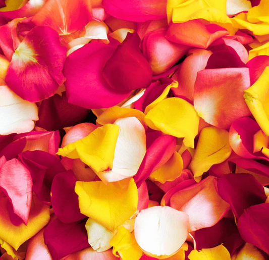 Mixed Rose petals