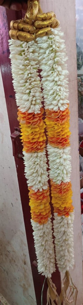 Lily sampangi with orange petals